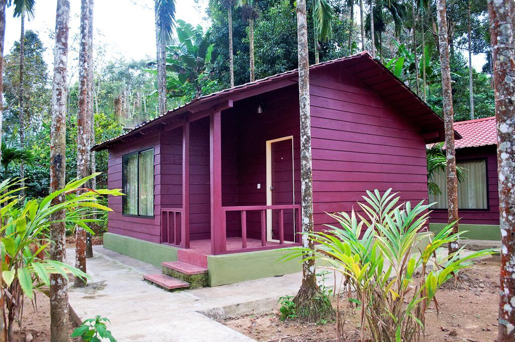La Flora Prakruth Resort Coorg Madikeri Buitenkant foto