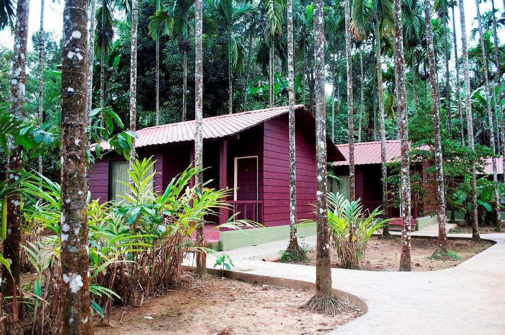 La Flora Prakruth Resort Coorg Madikeri Buitenkant foto